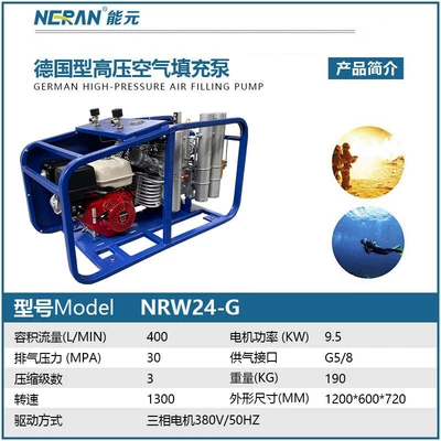 High-Pressure Air Filling Pump: Hava kompressorları - nrw24-g-deposit