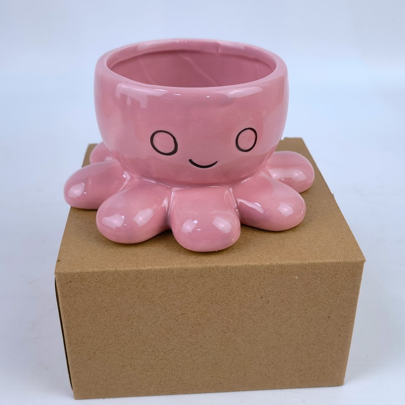 Cruz-frontera creativa pulpo suculenta maceta cerámica de dibujos animados de animales marinos maceta suculenta maceta de escritorio