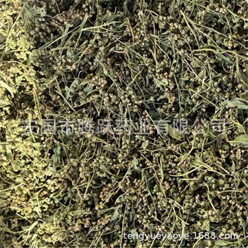 Gan Huang Cao Dried Penthorum chinense Herb Sichuan Whole Plant 500g Bag overview