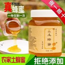 ������ȻҰ��������ɽ�� 500�˰��]