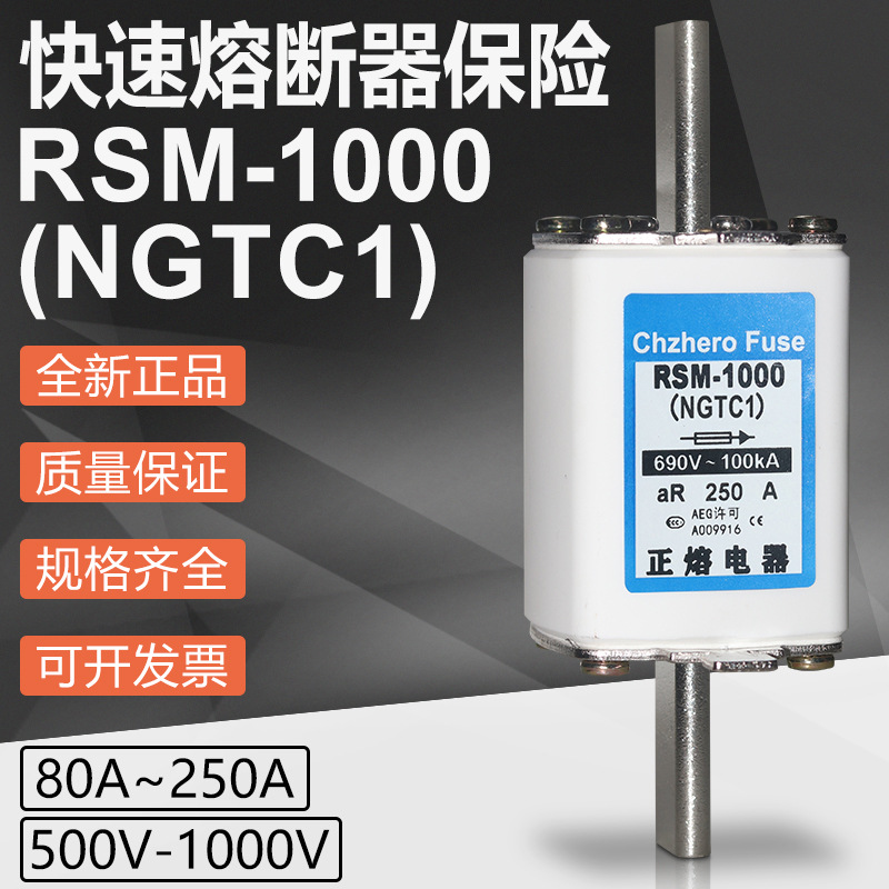 RSM-1000 NGTC1 250A 200A 180A 160A 125A 100A 690V快速熔断器