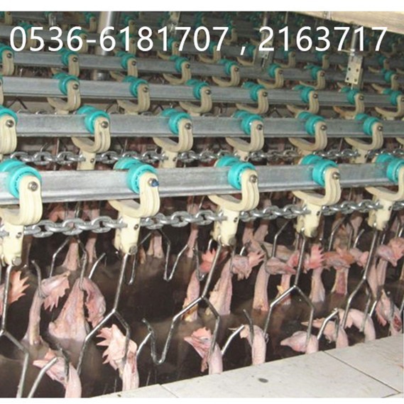 供应家禽屠宰流水线  鸡鸭鹅宰杀生产线成套设备 设计安装