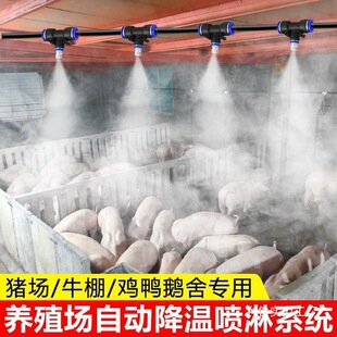 �Bֳ�����؇��Fϵ�y�ԄӶ��r�F�����F΢���^�u���i��ţ���������l