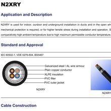 N2XRY����׼늾���|���J�C