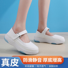 oʿЬŮļUպƤ_Ьmܛװɫ͸