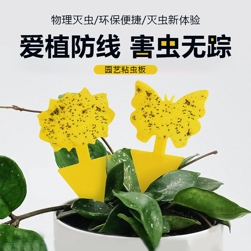 黄色蝴蝶花形异形粘虫板黏虫板果蝇诱捕器昆虫陷阱诱虫板园林花卉|undefined