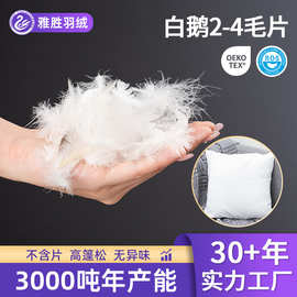 源头厂家批发白鹅2-4沙发抱枕羽丝绒靠背填充物羽毛原料跨境出口