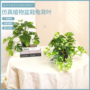 �羳����ֲ��Gֲ�����辰�����~���h���b�c����