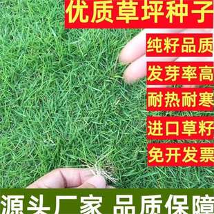 �M��ͥԺ��ƺ�N�� ����������é ������ ������ļ��� ���ɷf����