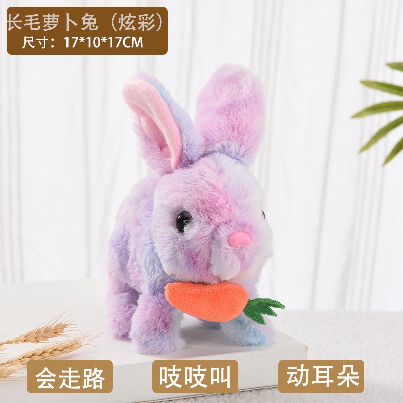 Thỏ củ cải lông dài (màu tóc hỗn hợp nhiều màu)