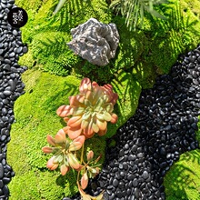 �Ϻ���������̦�\΢���^�bװl�\�Gֲ��Ƥ������ܛ�b�쾰��ֲ��