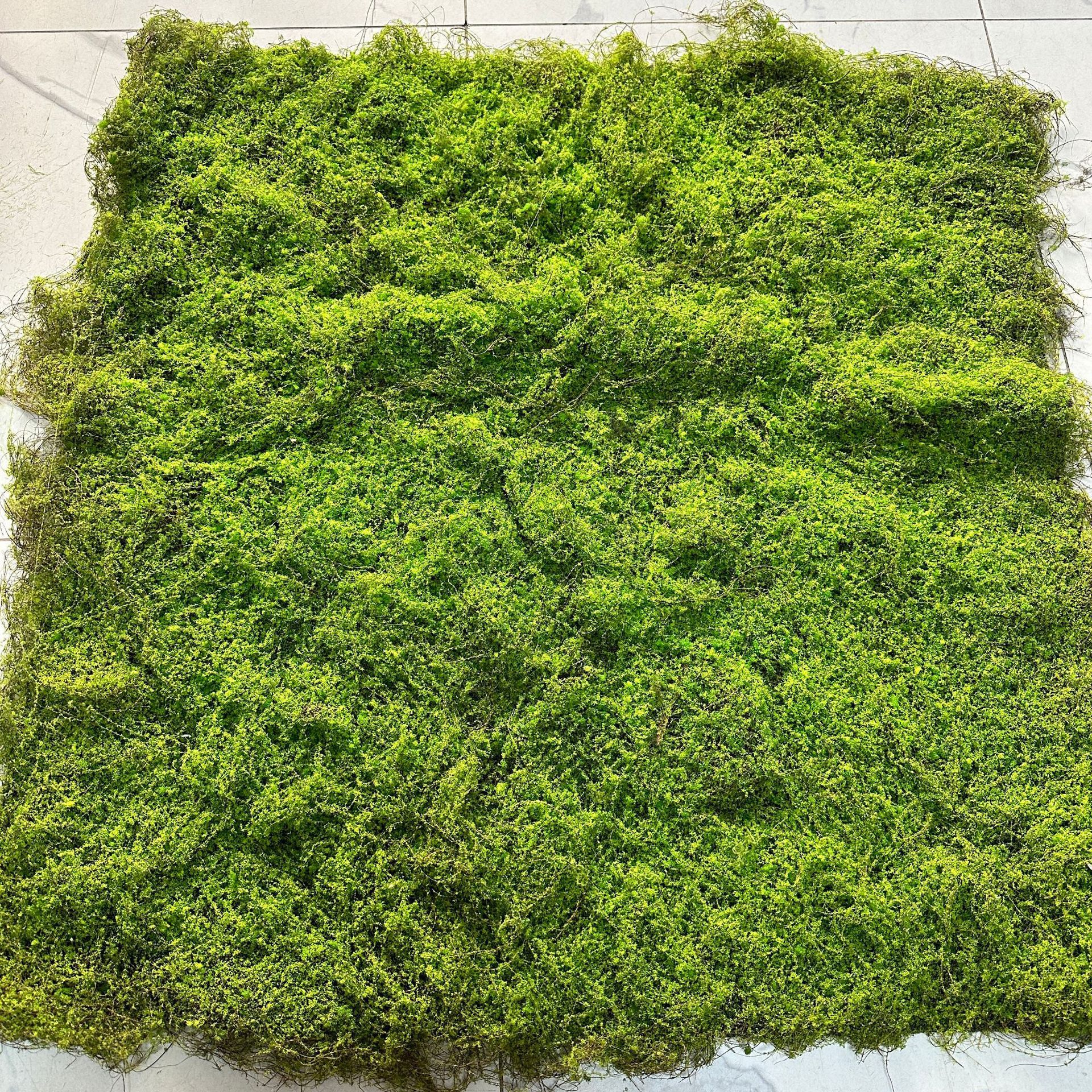 Césped artificial de musgo verde césped artificial planta paisaje planta verde escena ventana pantalla bonsai falso musgo