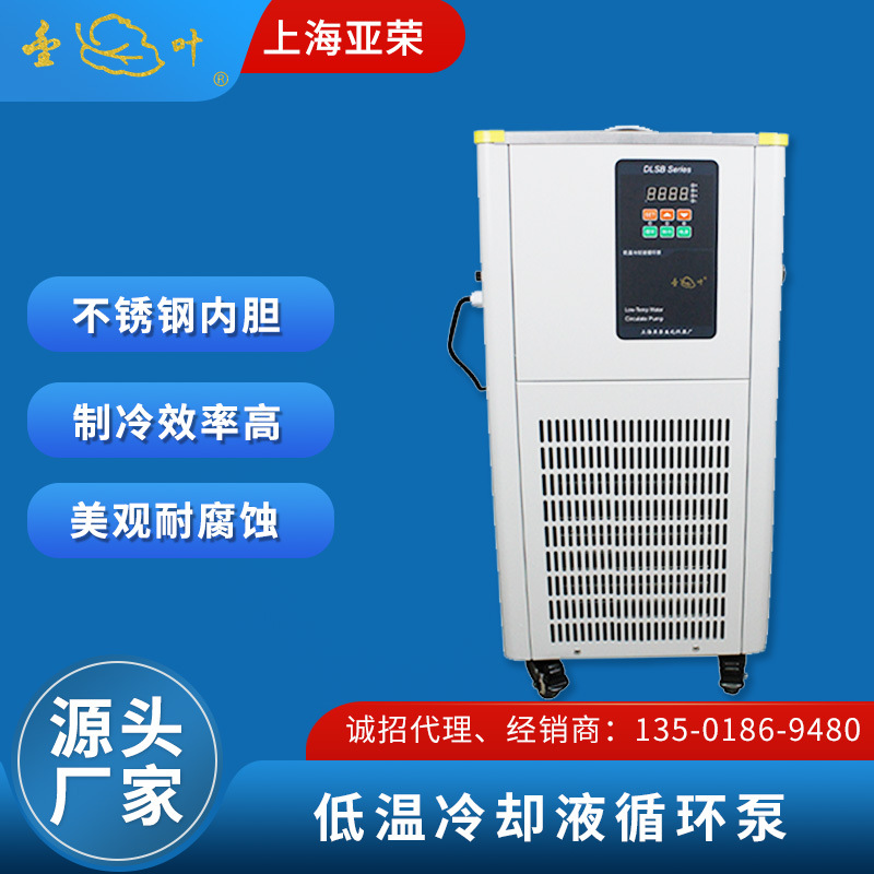 上海亚荣 低温冷却液循环泵 YRDLSB-6/20 实验室低温泵冷水机 金