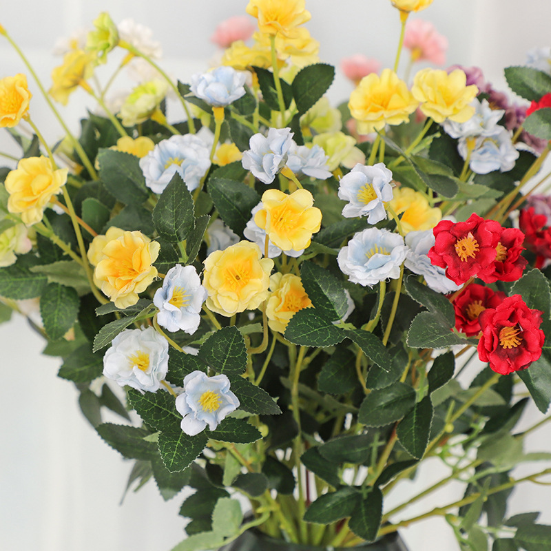 ��c���þƵ��b�С���°����Nޱ�����^С�¼���������^Сõ�廨