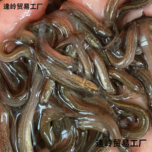 ���q���r��ι�B������~���~���D����������q�Bֳ��ˮ�^�p�~���