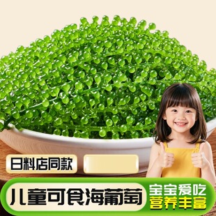 ��ͯ��ʳ�������L�۲����r�����}�n�~���uȹ���˺���Gɫ�ײ�100g