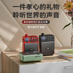 Langyun C75 Bluetooth Card Audio Radio Player High Volume Mini Multi-Function Portable Amplifier