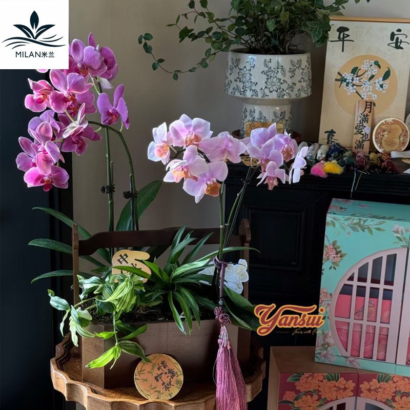 Festival del Medio Otoño Nuevo estilo chino retro caja de octogono Cesta de flores portátil flores pastel de luna caja de frutas floral caja de regalo floral