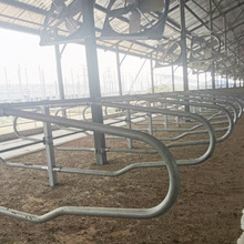 ɹţԴ ţԙڏS ţԴO