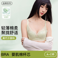 品牌莫代尔内衣女夏季薄款抑菌含羞草蕾丝小胸聚拢婴肌棉文胸