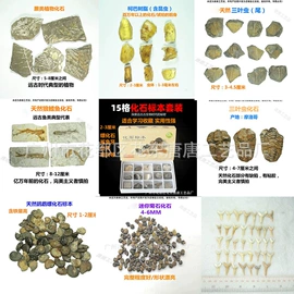 宝石工艺品;石膏工艺品;标本