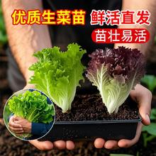 �������������玧��������_�Rˮ�ஔ���߮a�̨�Nֲ�߲�ֲ������