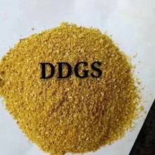 ���׾���DDGS�F؛ ���Դ��沿��ˮ�a�Bֳ�����u���Z�i������׾�