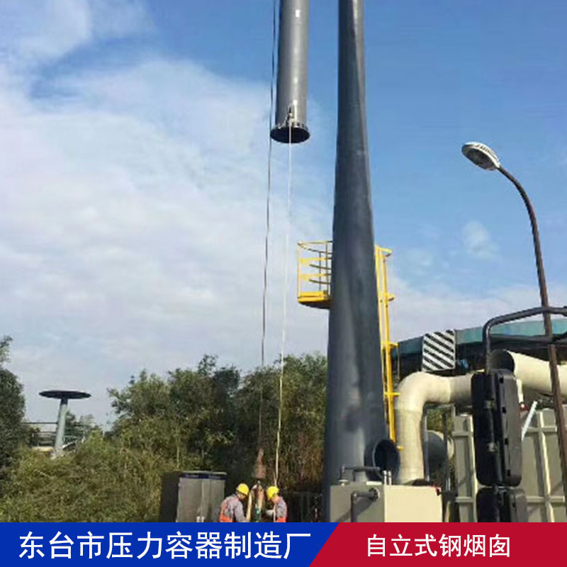 生产自立式 塔架式钢烟囱含检测口平台旋梯