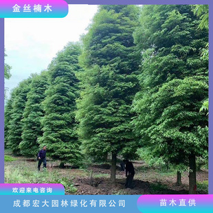 �������l�Ĵ���ľ���ڽ�z�ľ����1��30���ֹ��̾G��С�~�E骘�