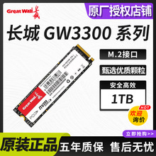 适用(Great Wall)长城GW3300系列1TB固态硬盘SSD M.2接口GW33001T
