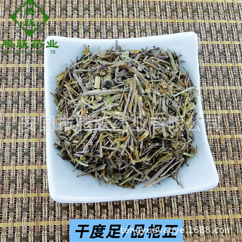 Dried Scutellaria barbata Whole Herb Ban Zhi Lian Bulk Chinese Medicinal Herb for Decoction and Tea quality and texture