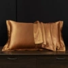 Light coffee color [a pair of pairs]
