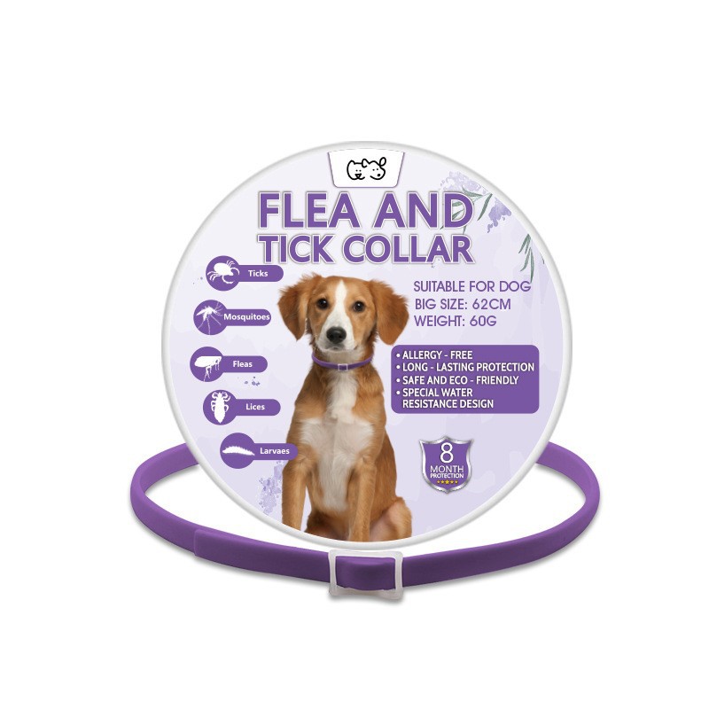 강아지용 보라색 목걸이