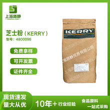 KERRY  芝士粉4800096 食品级 马斯卡彭粉 烘焙糕点专用 干酪粉