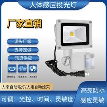 LEDБͶwБͶˮ10W Ͷ