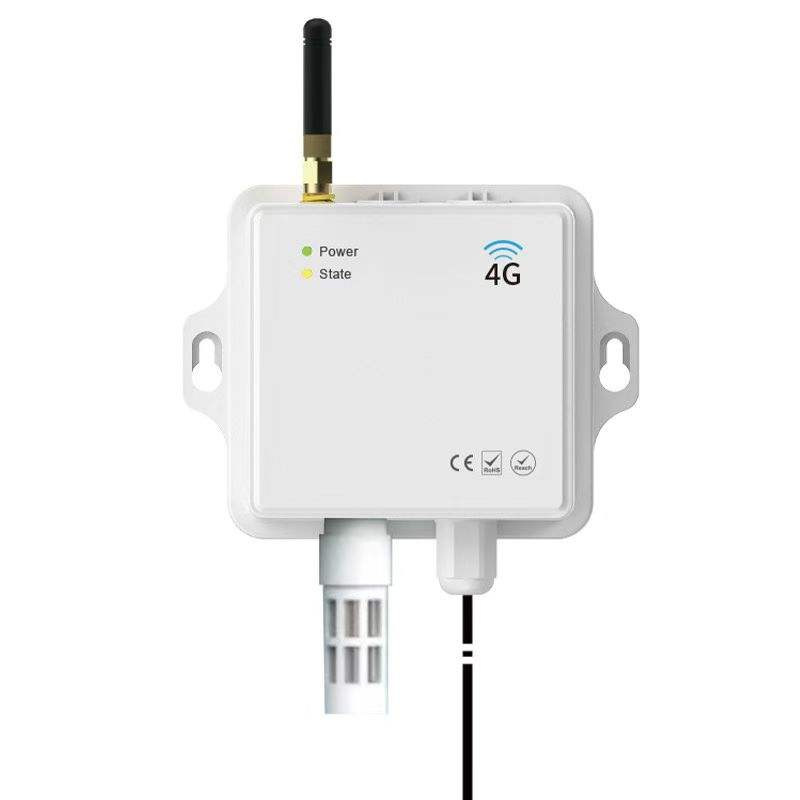 Plastic Waterproof Casing with Ears, Wireless Controller Casing, Standard Electronic Instrument Converter Casing