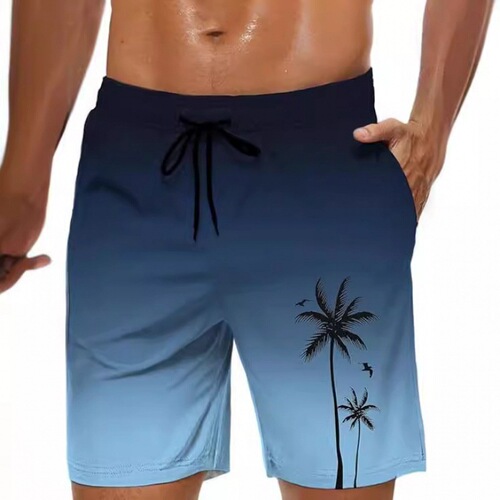 2025 Hawaii Series Shorts for Men - European and American Style 3D Printed Casual Loose Thin 5-inch Beach Pants