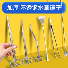 ˮ���޼��ݸײ��P䓹������b��������ӊA�L���嵶���^����ƽɳ�P