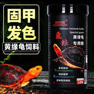 Gaobesen Yellow Edge Turtle Food Anyuan Platform Edge Zhejiang Edge Turtle Closed Shell Turtle Color and Hair Color Special Feed Turtle Food