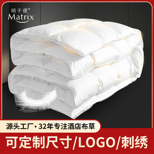 Factory Customized 95% Goose Down Quilt Core Winter Thickened Warm Student Quilt Cotton Hilton Hotel Down Quilt