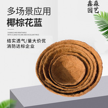 Ҭ�ػ��@8�� ��NҎ�� Ҭо�Ț����@Ҭ���w�S����Nֲ�o������đ