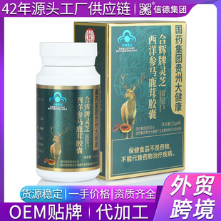 �����R¹���z�� ���wƣ�ں��x���`֥�����z��