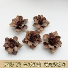 【木花】云南手工干花 植物果壳干花批发 香薰插花摆件装饰道具