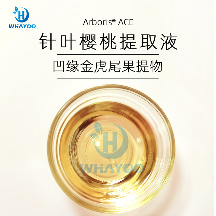 美国苮琇Synsil有报送码化妆品级原料水溶透明凹缘金虎尾果提取物