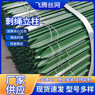 ���������������^Y����ţ�ھW�������P�F�z�W���ھW����Ӻ�ڗU