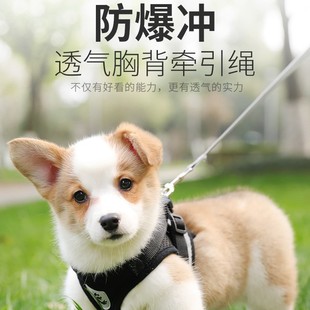 Vest-Style Teddy Dog Corgi Puppy Harness Dog Leash Small Dog Chain Dog Walking Leash Puppy