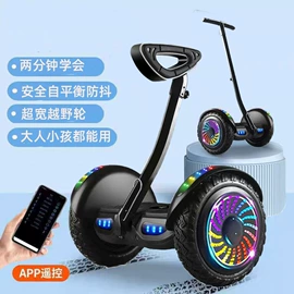滑板车;平衡车;其他骑行用品