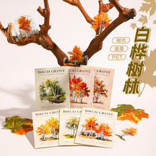 PET�N�����ט����ϵ�И�ľ�쾰���~�֙C���b�DIY�ز�