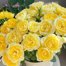 һ�����l�����S��֭�̨�¼������������̨΢��õ��ͥԺ����ֲ��