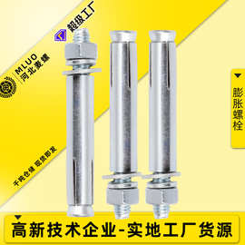 厂家直销金属膨胀螺丝国标膨胀螺栓 加长膨胀栓 外膨胀拉爆螺丝